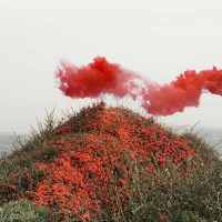 Red smoke rising over a coastal cliff covered in red flowering shrubs, from 'In Dreams' by Petros Koublis