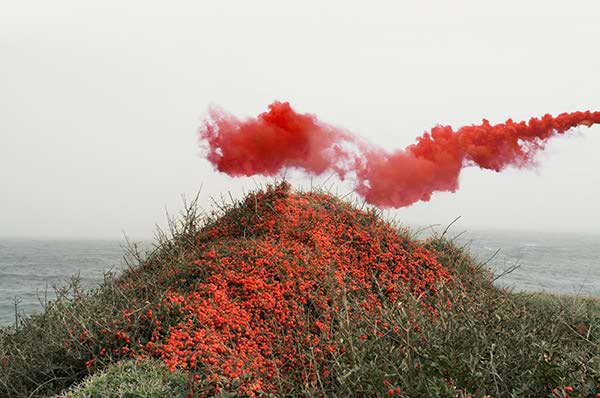 Red smoke rising over a coastal cliff covered in red flowering shrubs, from 'In Dreams' by Petros Koublis