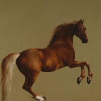 Whistlejacket by George Stubbs