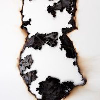 Burnt paper cutout in the shape of a human silhouette on a white background