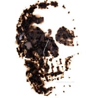 Burnt paper cutout in the shape of a skull on a white background