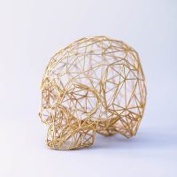 Wireframe sculpture of a human skull in golden wire mesh