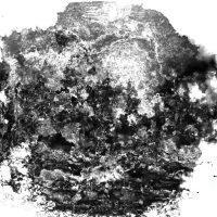Abstract black ink-splatter artwork on a white background
