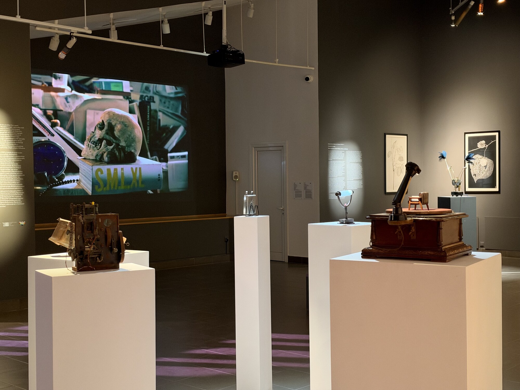 A dark gallery room with white pedestals holding objects and a film projected on the wall