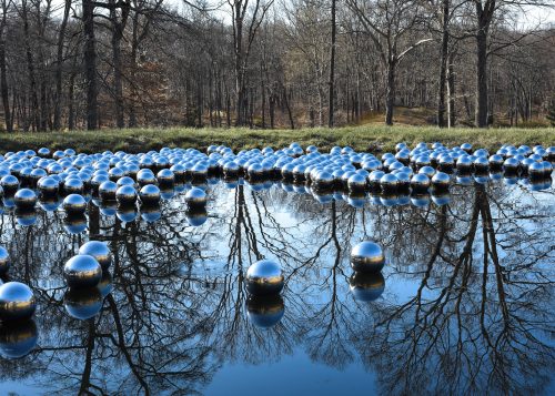 Narcissus Garden